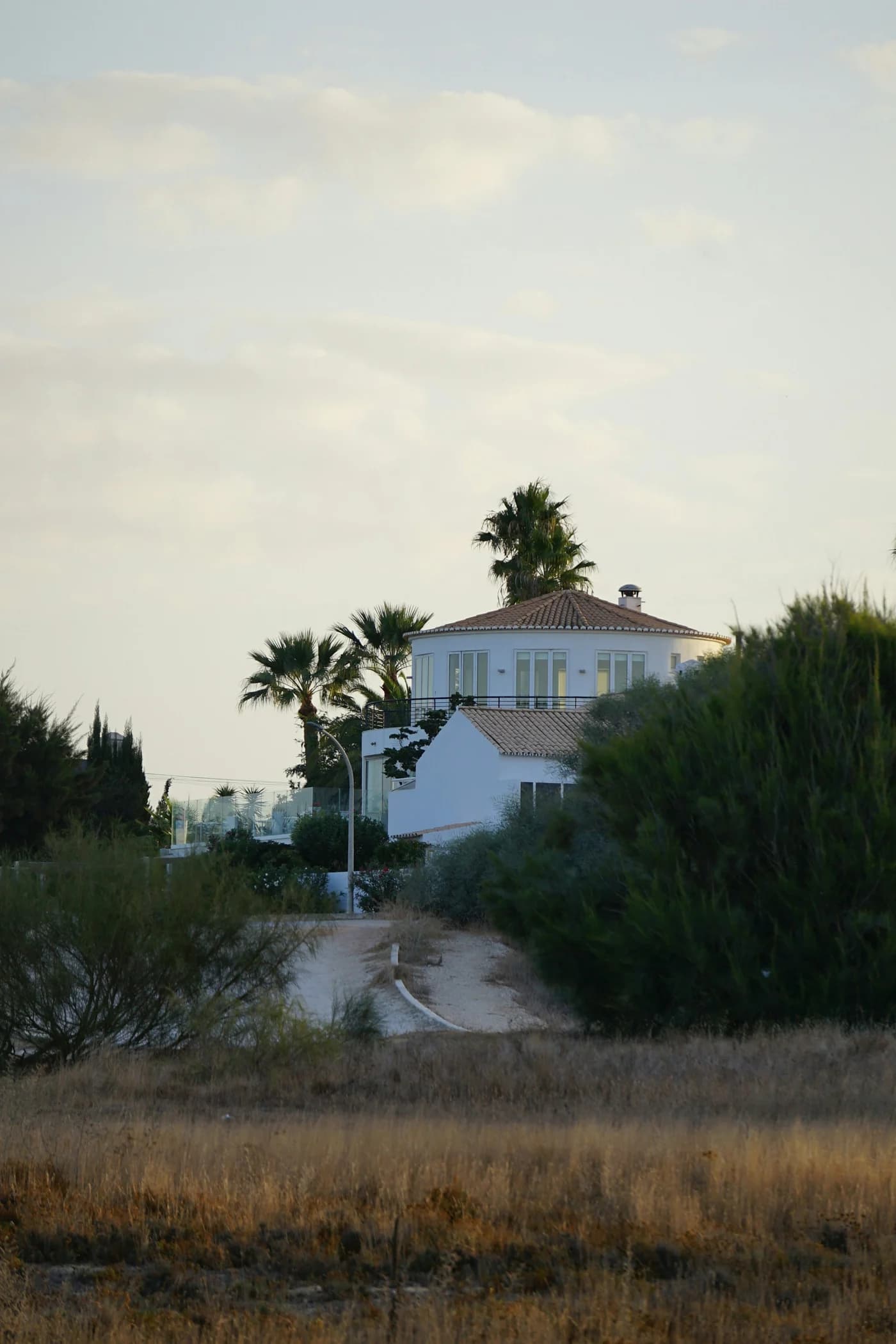 Uma casa branca rodeada de palmeiras em Albufeira